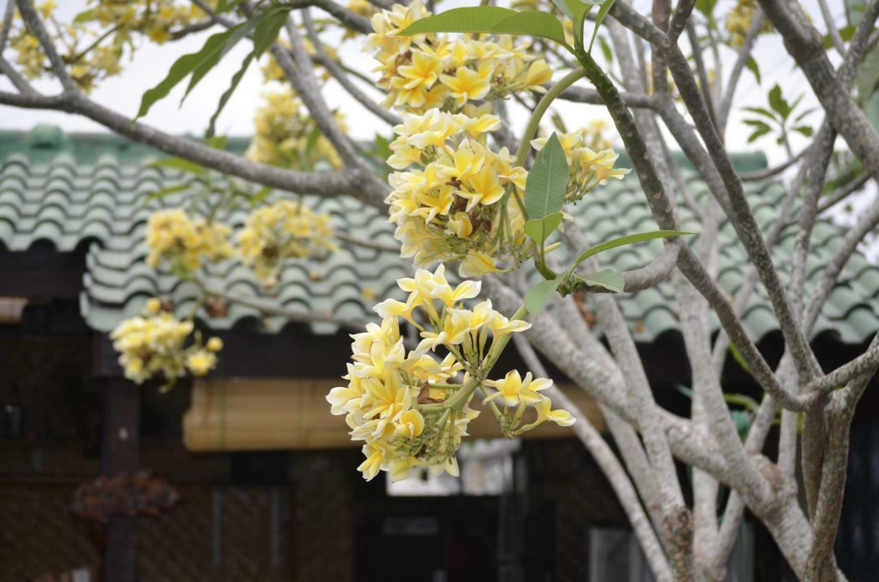Villa Yukie Senggigi Montongbuwoh Buitenkant foto